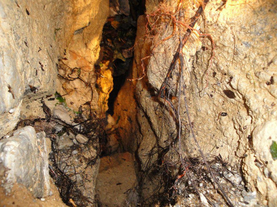 reka Iška, Iška vas