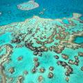 Great Barrier Reef, Avstralija
