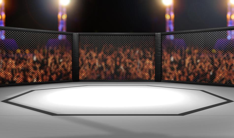 Se obeta borba v kletki med otroci bivšega in sedanjega predsednika ZDA?