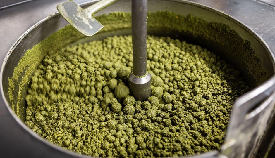 Oljarna Kocbek | Avtor: Jure Banfi