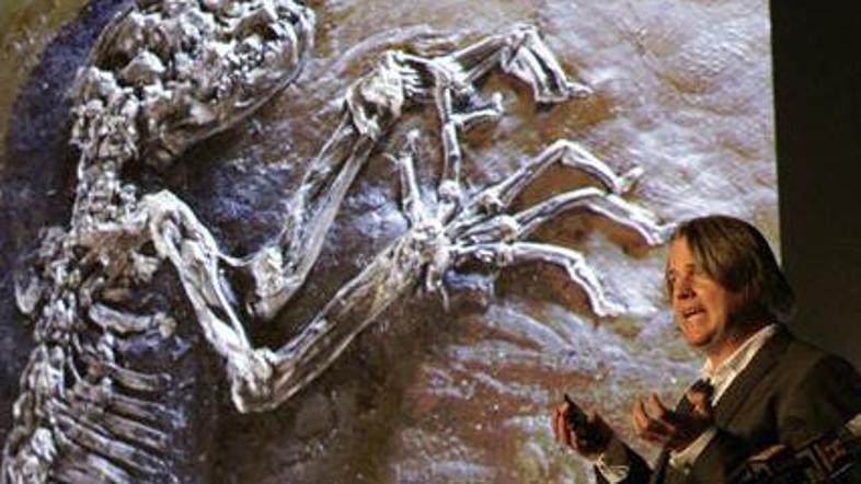 Norveški paleontolog Jörg Hurum, ki je vodil skupino raziskovalcev, je pojasnil,