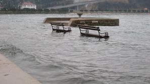 (Foto: Saša Islamović)