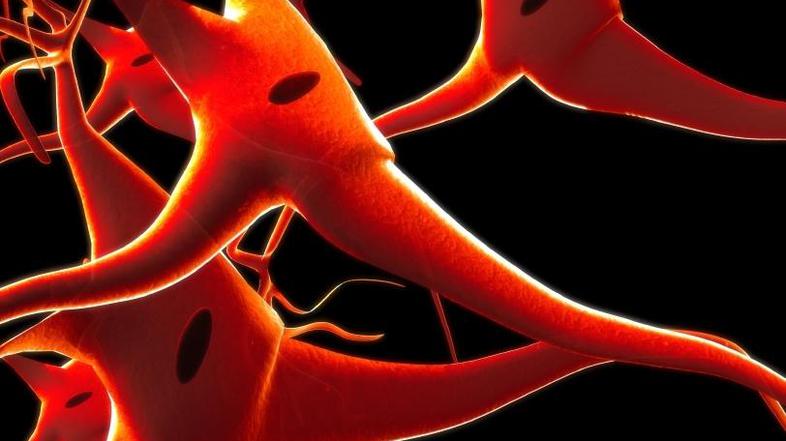 O čem vse le klepetajo nevroni?