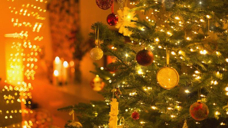 novoletna jelka lučke