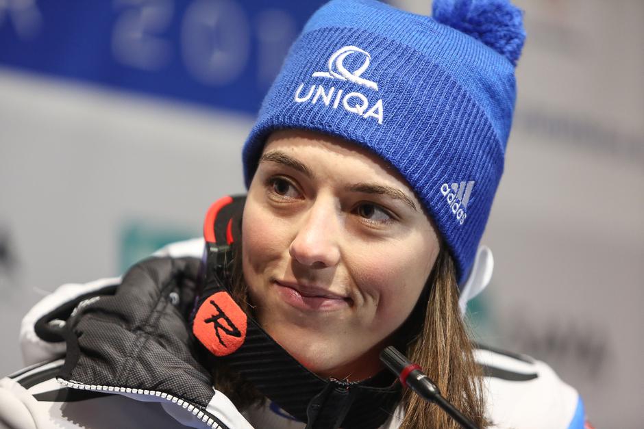 Zlata lisica | Avtor: Saša Despot