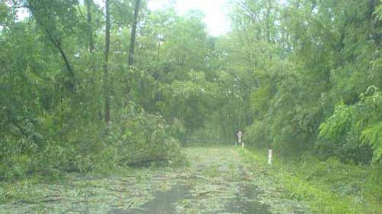 Neurja 13. in 14. julija so povzročila ogromno škode.