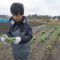 Okolico Fukušime pestijo težave, znane iz časov Černobila. (Foto: Epa)