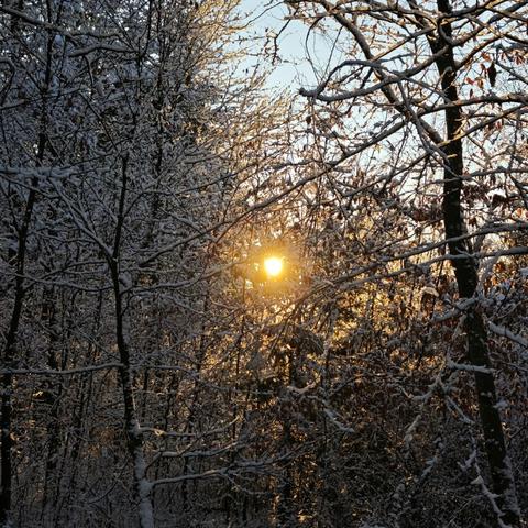 Sneg, zasnežena cesta, vreme, zima