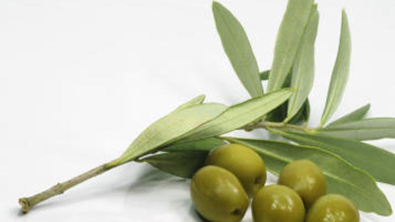 Najpomembnejši del diete je olivno olje.