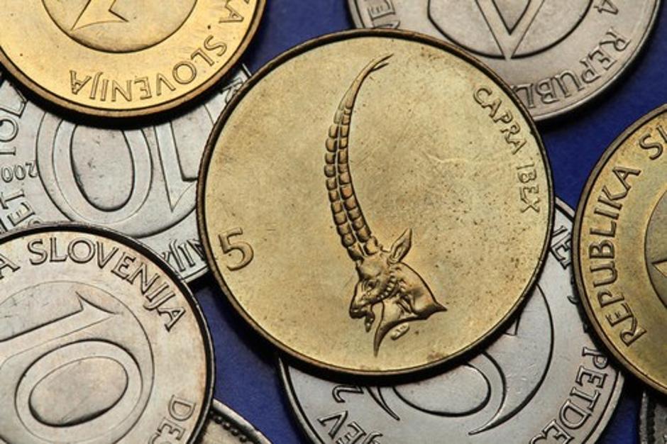 tolar | Avtor: Profimedias