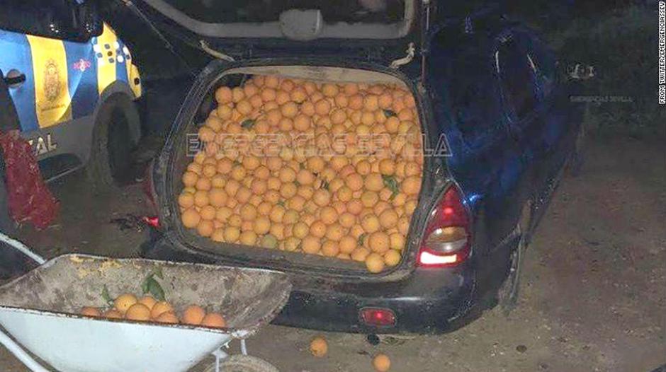 Kraja pomaranč | Avtor: Policija v Sevilli