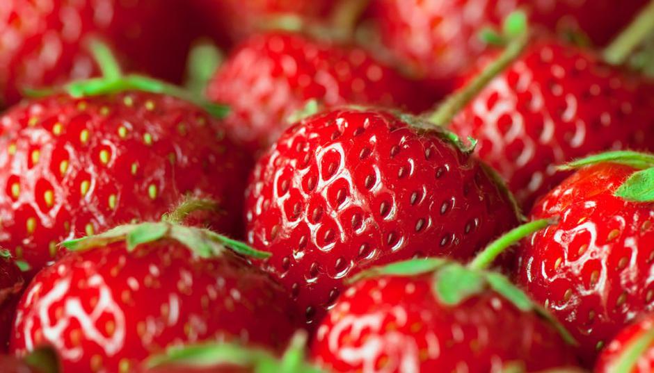 jagode | Avtor: Shutterstock