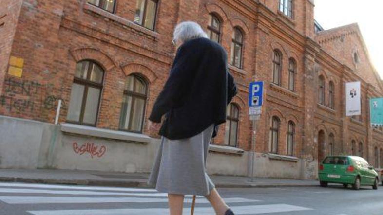 Skupna vrednost perutnine, ki jo je želela ukrasti ženska, je 8,84 evra. (Foto: 