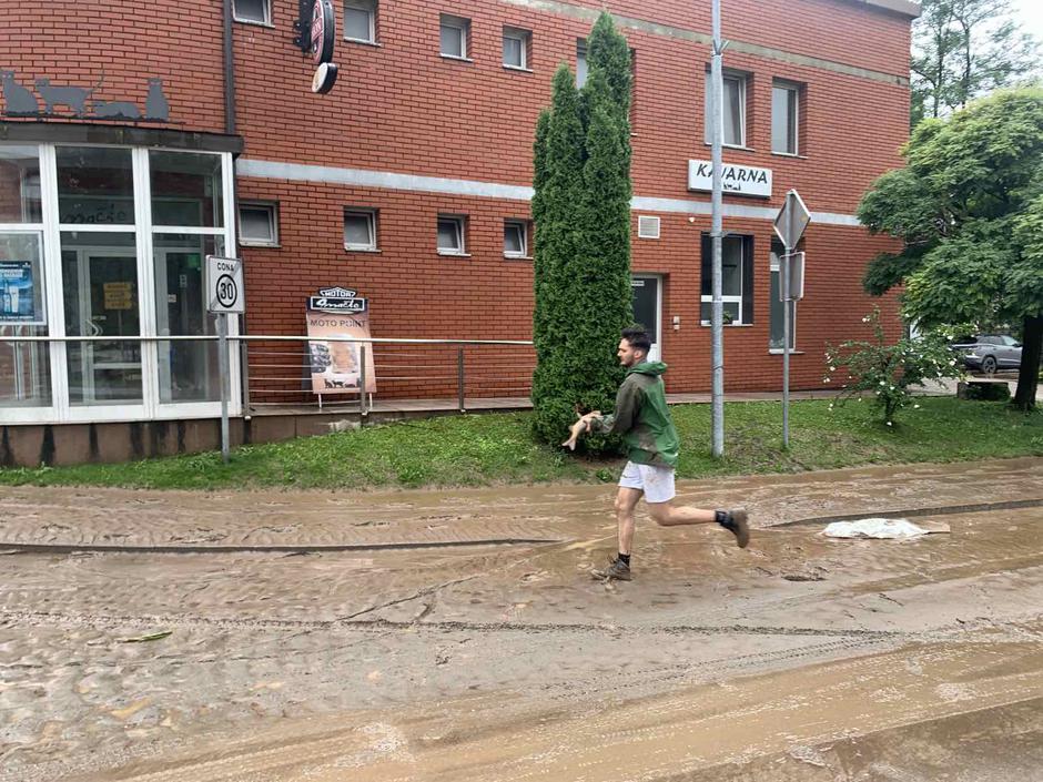 Reševanje ribe | Avtor: Žurnal24 