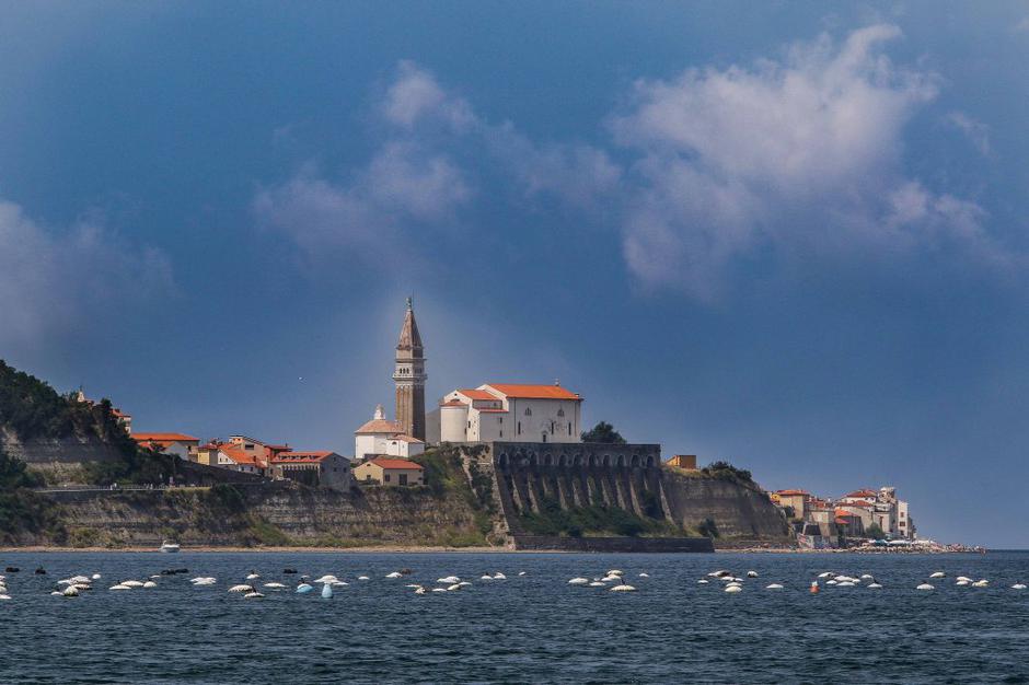 Piran | Avtor: Saša Despot