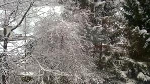 Sneg v Koroški Beli