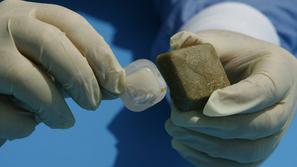 Cepivo proti steklini, vaba