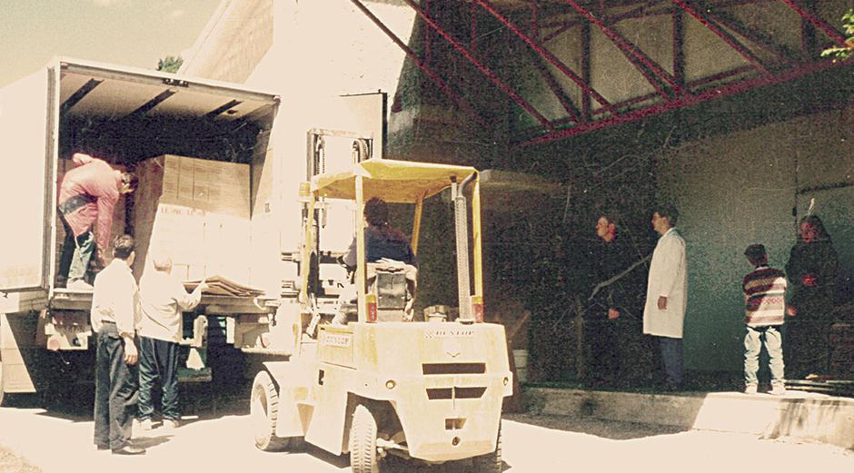 LEONE | Avtor: LEONE