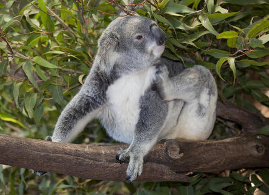  | Avtor: Žurnal24 main