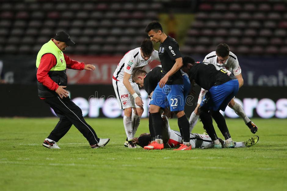  | Avtor: Reševalni pas/Twitter