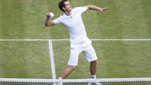 andy murray