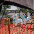 ebola virus afrika