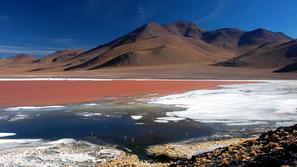 Laguna Colorada, Bolivija