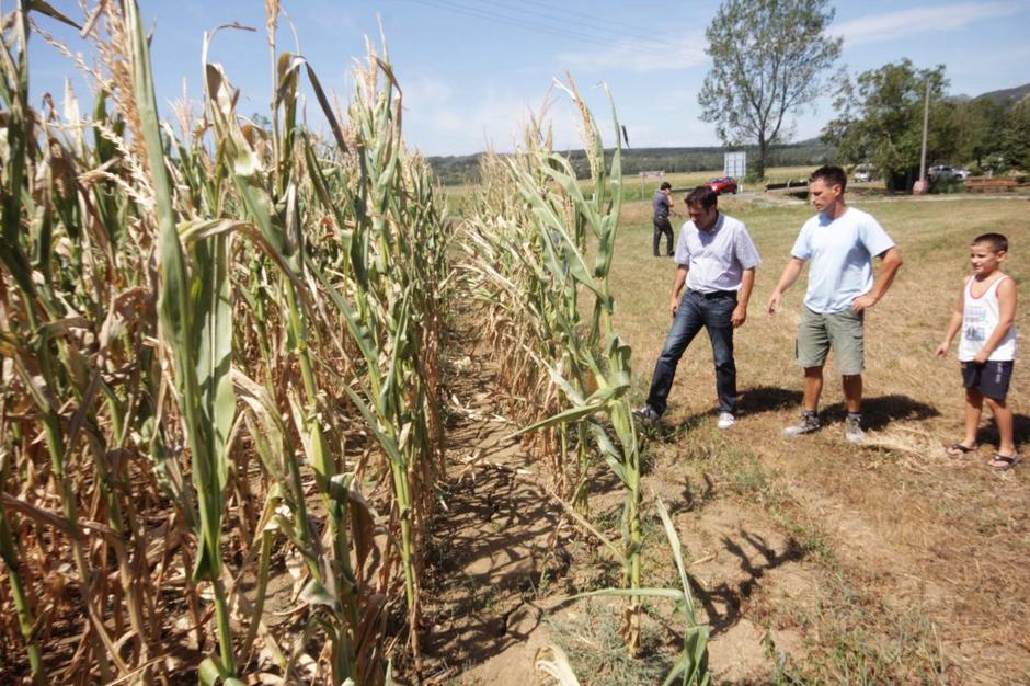 Župan Matej Arčon je v Ozeljanu obiskal Marka Mladovana | Avtor: Arhiv MONG