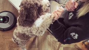 Roomba v Pasji hiši