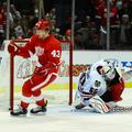 detroit red wings nhl