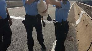Policijsko reševanje laboda 