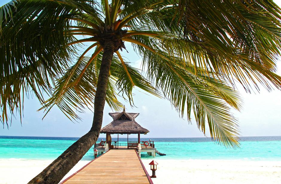 Maldivi | Avtor: Pixabay