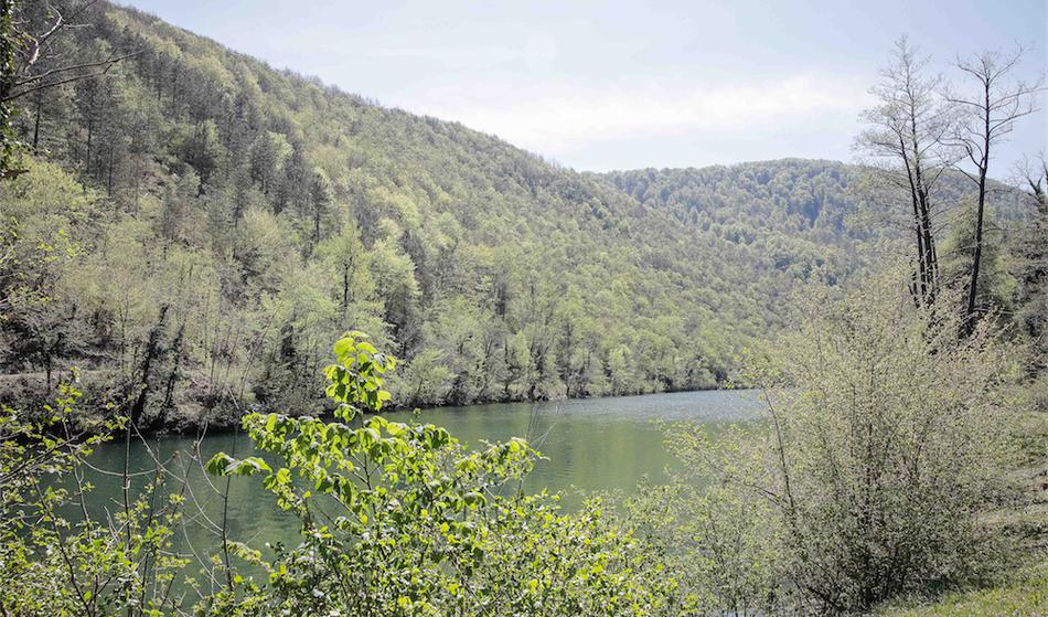 Utopil se je v Kolpi, truplo so našli na Hrvaškem