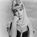 barbara eden