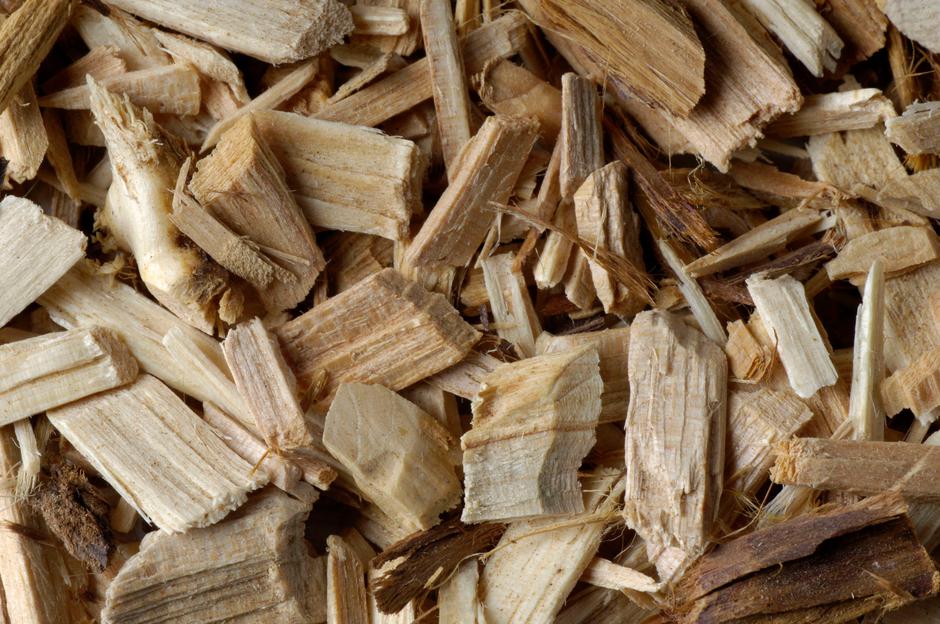 drva | Avtor: Profimedia