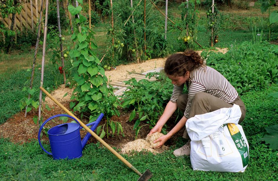 zastirka | Avtor: Profimedia