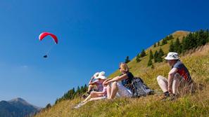 Padalec nad Soriško planino