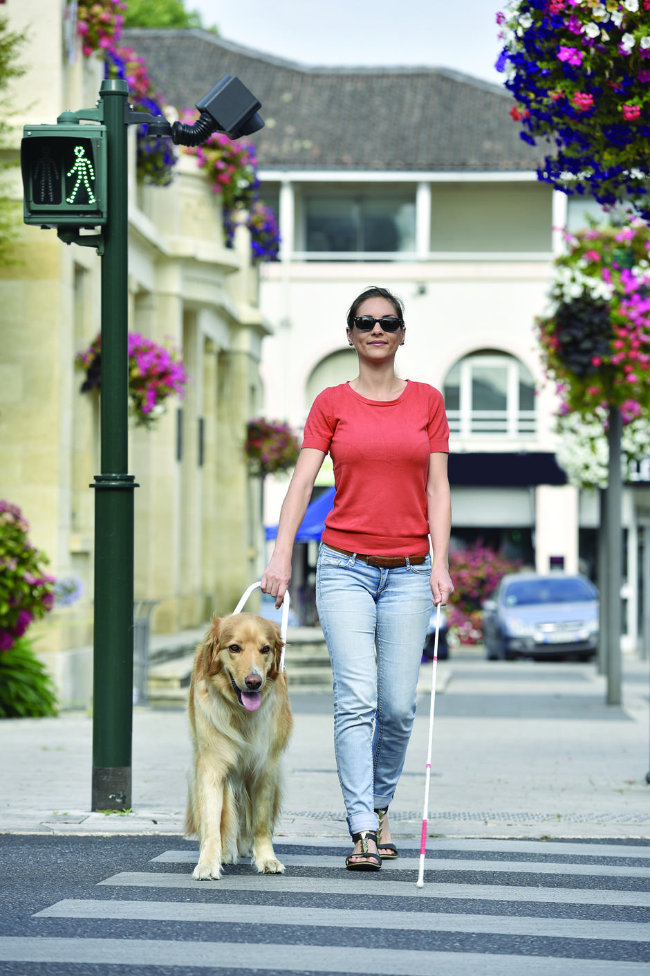 SVRK | Avtor: Prehod mladih