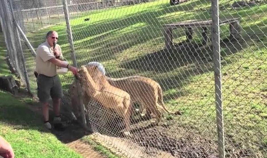 Zoo Avstralija | Avtor: Youtube