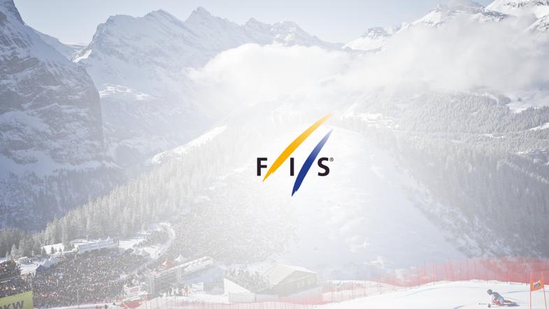fis logo