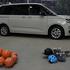 Volkswagen LGV, caddy, multivan, transporter, ID buzz, ID buzz cargo, amarok, california