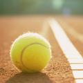 tenis teniška žogica