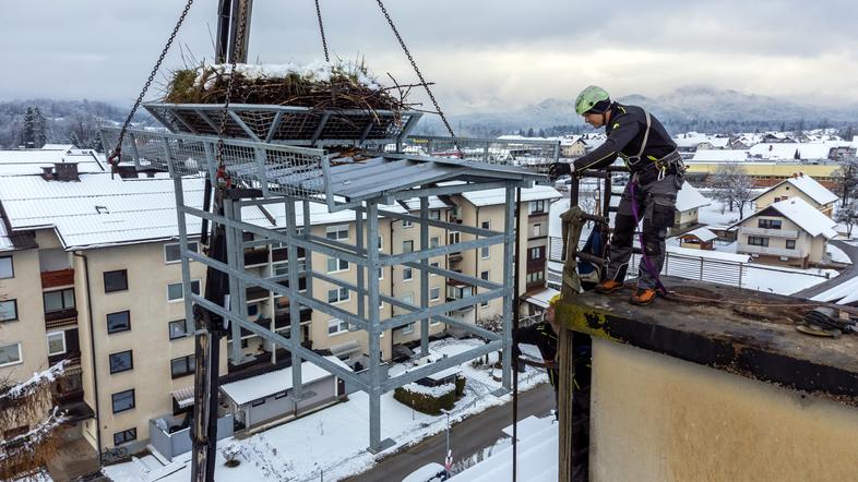Štorklje, Trata pri Škofji Loki, Frankovo naselje, gnezdo, Škofja Loka