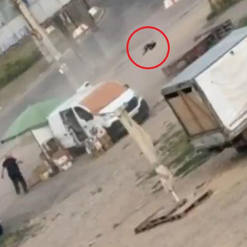 dron