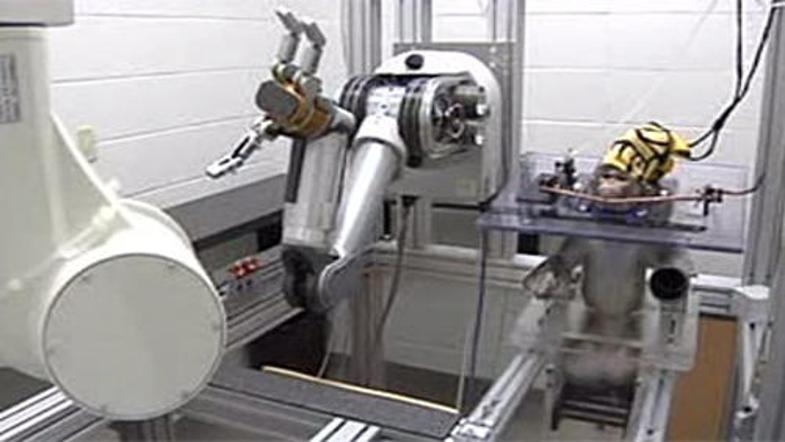 Opica se je pri poskusu odlično izkazala.