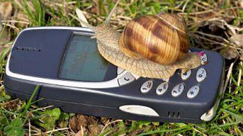 Tudi polžek je radoveden.