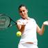 Pennetta Wimbledon tenis OP Anglije grand slam