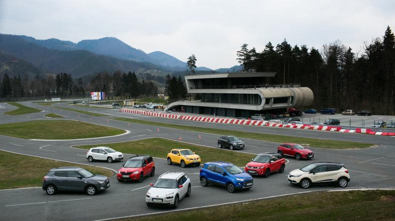 Veliki primerjalni test križancev