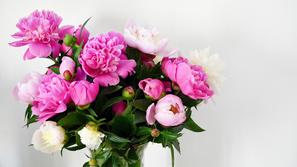 rože, šopek, darilo