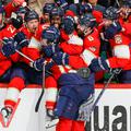 Florida Panthers
